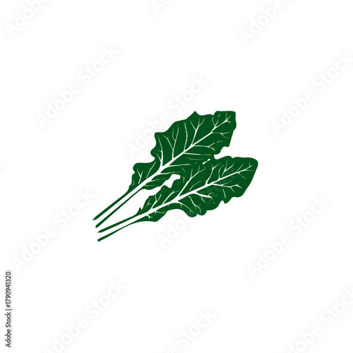 Very Simple flat 2D illustration of green kale isolated on a white background, AI, vector mint leaves branch icon set, simple design in a flat design