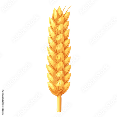 Very Simple flat 2D illustration of millet grain isolated on a white background, vector mint leaves branch icon set, simple design in a flat design