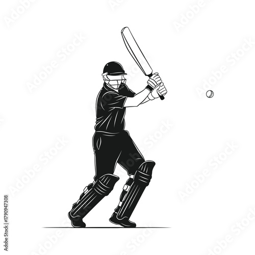 A cricket men hitting the boll batsmen  player vector illustration
