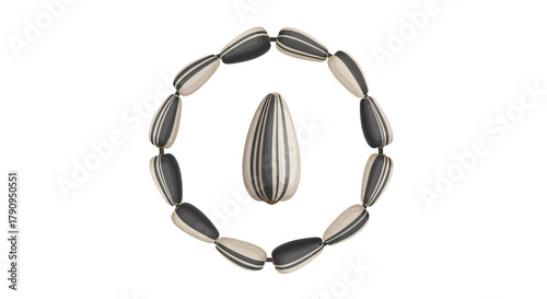 Sunflower Seeds Arranged In Circular Design With One Seed Facing Differently