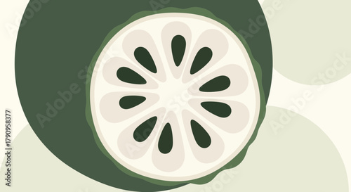 Stylized Illustration Of Annona Section Amidst Green And Neutral Geometric Details