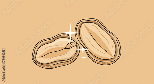 Shiny Peanut Illustration With A Light Brown Background, A Fresh Concept Suitable