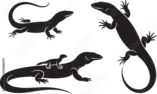 Vector silhouettes set of varanus monitor lizards large reptile wildlife fauna illustration concept design