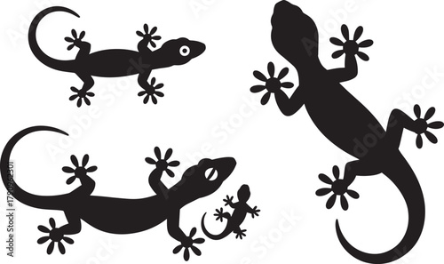 Set of black silhouette geckos and lizards in different sizes showing eyes and sticky feet for decal or icon design.