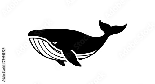 Oceanic Majesty: This illustration features a majestic whale, elegantly depicted in silhouette against a clear background, evoking a sense of marine wonder and the silent world