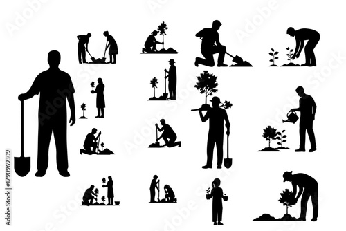 Gardener planting and watering trees in a garden with silhouettes plant and flowering silhouette