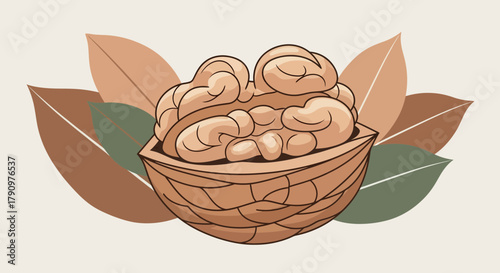 Nutrition Illustration Of A Fresh Walnut With Detailed Leaves Design In Vector