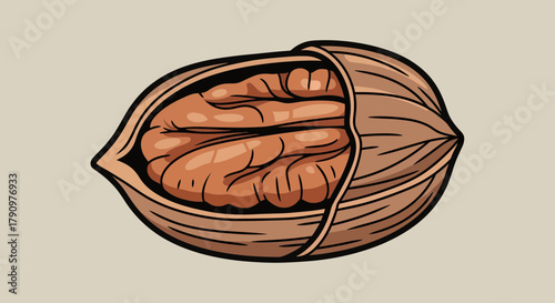 Opened Pecan Nut Cartoon Illustration Showing The Delicious and Healthy Walnut