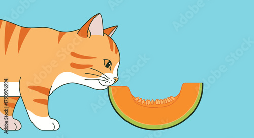 Orange Cat Sniffing a Vibrant Slice of Cantaloupe on a Pastel Blue Backdrop
