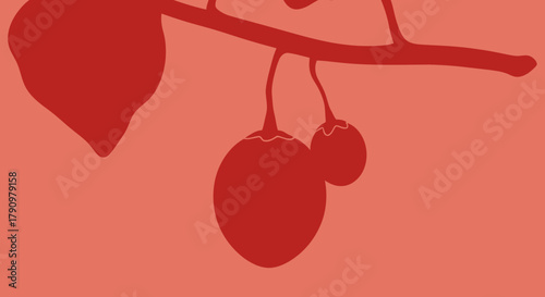 Minimalist Botanical Illustration Of Branch With Fruit, Leaf And Trendy Coloring