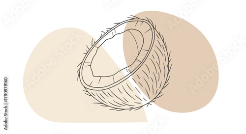 Minimalist Coconut Section Design With Abstract Elements And Natural Color Tones
