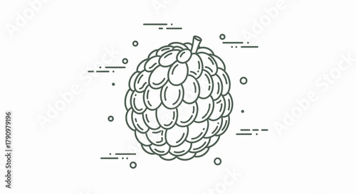 Minimalist Custard Apple Illustration With Modern Outline Design And Decorative Elements