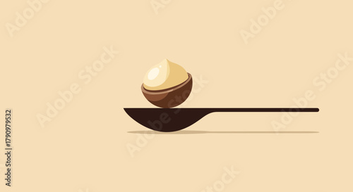Minimalist Macadamia Nut Resting on Spoon, Elegant Simple Food Illustration