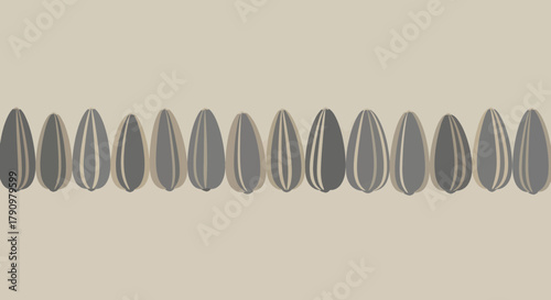 Minimalist Seed Composition Depicting Textured Seeds Aligned Horizontally Against a Neutral Backdrop