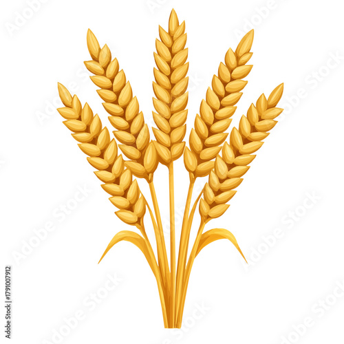 Wheat, modern 2D flat vector illustration in icon style, isolated on pure white background.