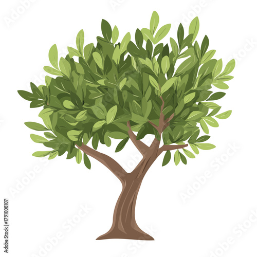 Olive Tree, 2D flat vector illustration, simple and modern style, isolated on a plain white background.