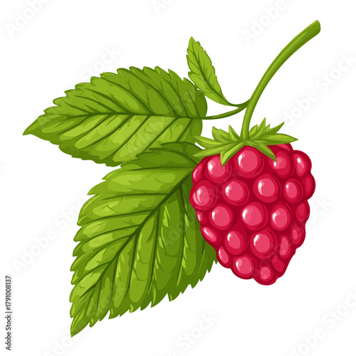 2D flat vector illustration of Raspberry Leaf, designed in a clean icon style and isolated on a white background.