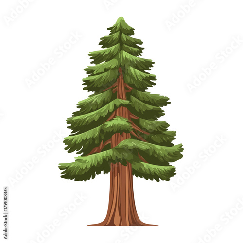 Sequoia Tree illustrated in a clean 2D flat vector style, minimal and modern, isolated on a white background.