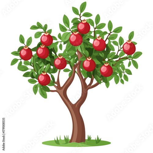 Simple flat 2D vector graphic of Pomegranate Tree, modern icon look, displayed on a pure white background.