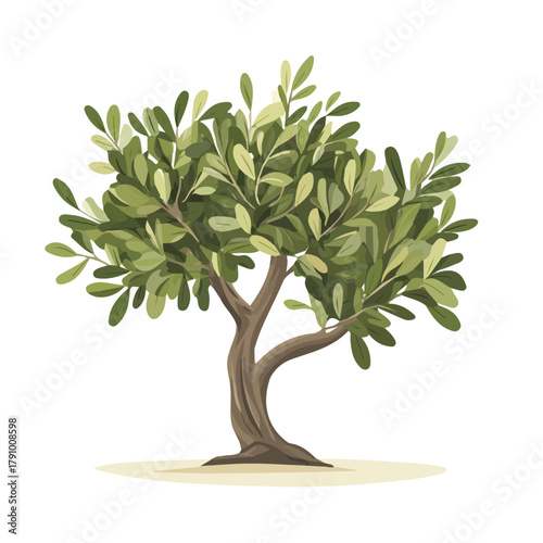 Simple flat 2D vector graphic of Olive Tree, modern icon look, displayed on a pure white background.