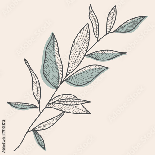 Elegant Vector Line Art Botanical Branch with Green Leaves