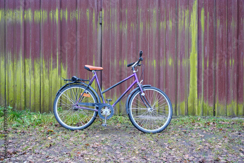 An old purple bicycle stands near a red metal fence covered in green mold. A rustic detail of life.