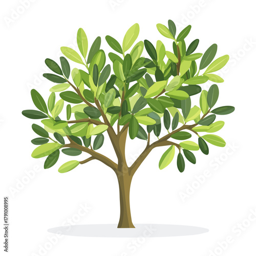 Modern flat 2D vector illustration of Olive Tree Sapling, clean and minimal design, isolated on white background.