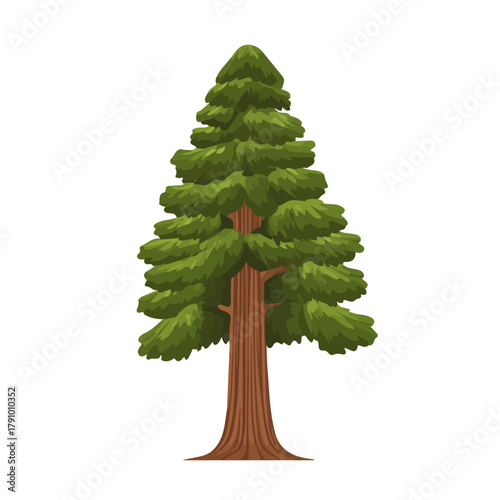 Sequoia Tree illustrated in a clean 2D flat vector style, minimal and modern, isolated on a white background.