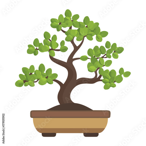 Oak Bonsai, modern 2D flat vector illustration in icon style, isolated on pure white background.