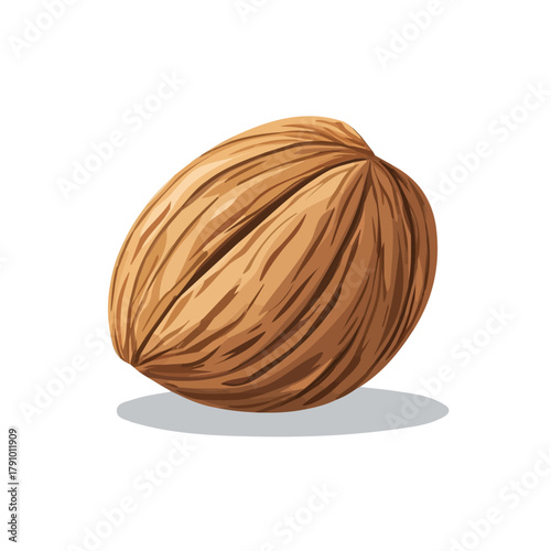 2D flat vector illustration of Nutmeg, clean and minimal icon style, isolated on white background.