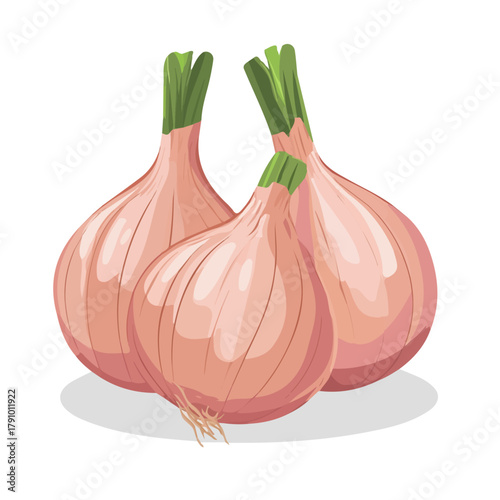 2D flat vector illustration of Shallots, clean and minimal icon style, isolated on white background.