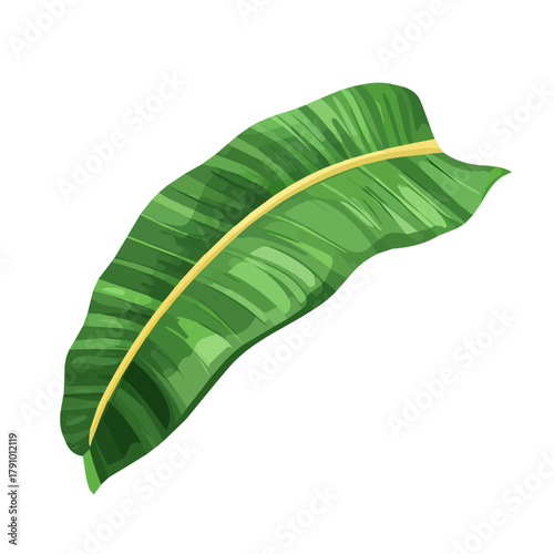 Minimal 2D vector illustration of Plantain Leaf in flat icon style on a plain white background.