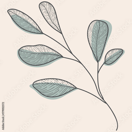 Delicate Hand Drawn Botanical Branch Vector Illustration