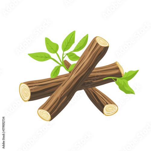 Licorice Root, modern 2D flat vector illustration in icon style, isolated on pure white background.