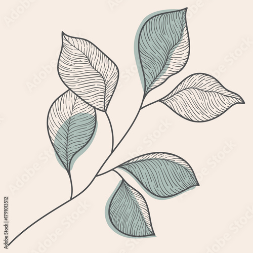 Delicate Vector Line Art Botanical Branch with Shaded Leaves