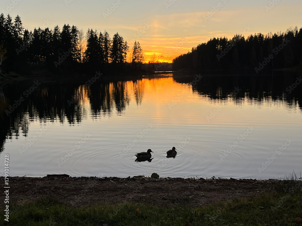 Naklejka premium Sunset by calm lake surrounded by trees in serene setting
