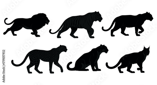 Silhouettes of six different wild cats, including a lion, tiger, panther, cheetah, sitting jaguar, and lynx, captured in various poses.