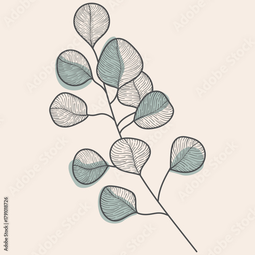 Delicate Hand Drawn Eucalyptus Branch Vector Illustration
