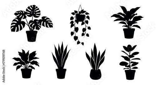 Silhouettes of various houseplants in pots, including monstera, hanging pothos, and other leafy varieties, displayed in a simple and elegant arrangement.