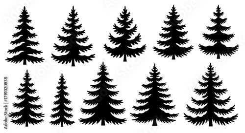 Silhouette collection of ten different pine tree shapes in varying sizes, showcasing a variety of evergreen species in a repetitive pattern.