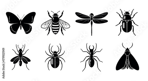Silhouette illustrations of various insects including a butterfly, bee, dragonfly, beetle, fly, spider, ant, and moth in black on a white background.