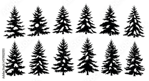 A collection of twelve black silhouette evergreen trees arranged in two rows, each showcasing a variety of detailed coniferous shapes and needle arrangements.