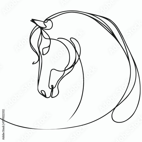 Line art illustration of a horse's head in minimalist style  