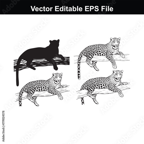 Four leopards resting on tree branches, one black silhouette and three spotted