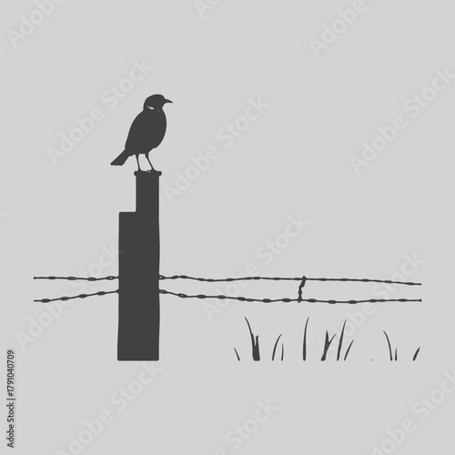 a solitary bird perched on a wooden post against a muted gray background showcasing simple elegance