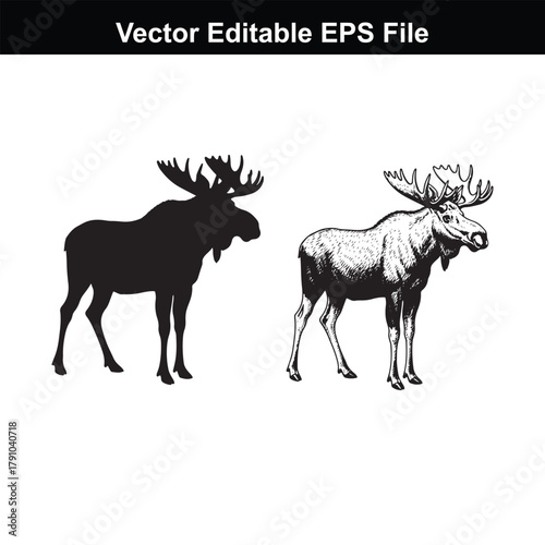 Two moose, one in silhouette and one detailed drawing, standing in water, vector editable eps file