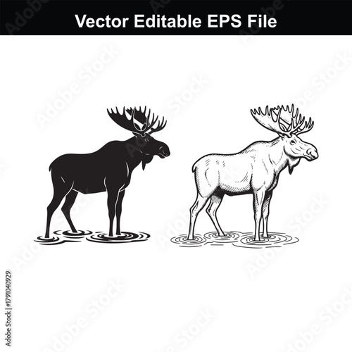 Two moose, one in silhouette and one detailed drawing, standing in water, vector editable eps file