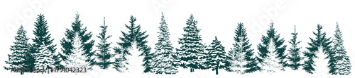 Fir trees silhouette. Christmas winter forest. Beautiful hand drawn panorama of coniferous forest. Not AI, vector illustration.
