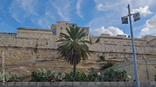 the limestone wall with palm tree and cactus on the foreground in Valletta