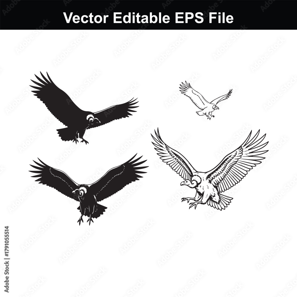 Fototapeta premium Four eagle silhouettes and line art drawings in flight